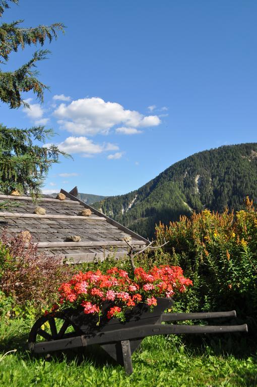 Hofstatthof Villa Campo di Trens Exterior photo